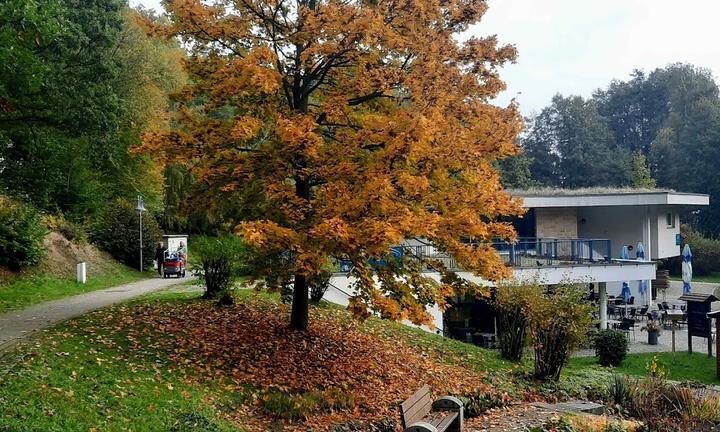 Cafe Im Kurpark Jonsdorf